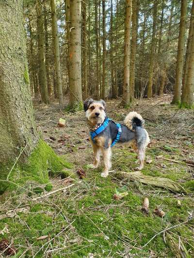 Foto Challenge Nr. 79-Beitrag-Bild