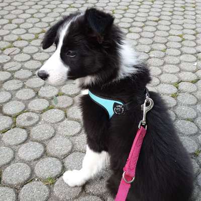 Sie werden so schnell erwachsen ...-Beitrag-Bild