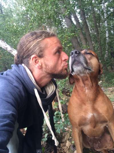 Dogorama Photo Challenge - Be my valentine-Beitrag-Bild