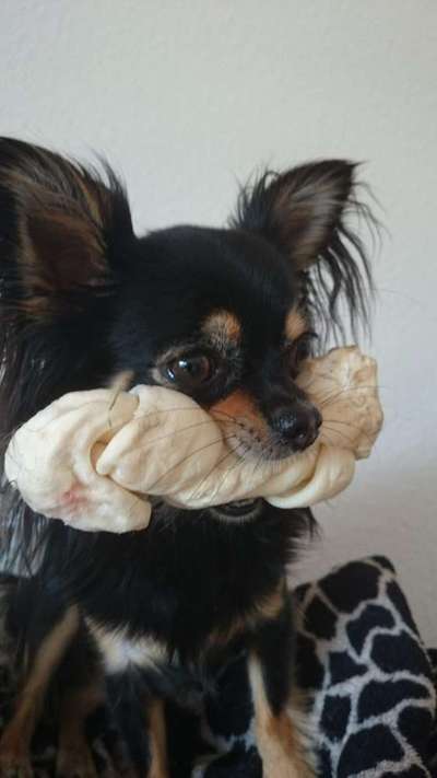 Hier ist der Spaßthread. Zum Schmunzeln und Kaputtlachen-Beitrag-Bild