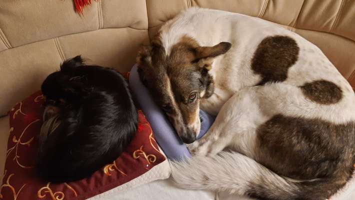 Fotochallenge liebespaare-Beitrag-Bild