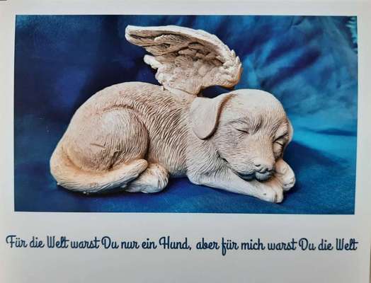 Lieblingsbild-Beitrag-Bild