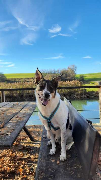 Lieblingsbild-Beitrag-Bild