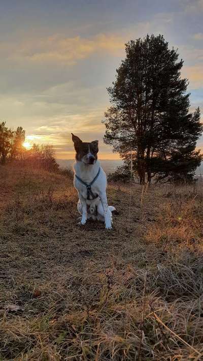 Fotochallenge Nr. 62 Romantische Momente-Beitrag-Bild