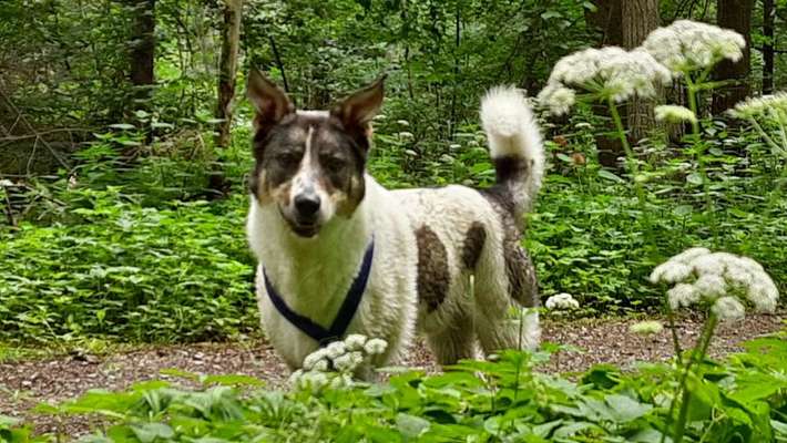 Foto Challenge Nr. 79-Beitrag-Bild