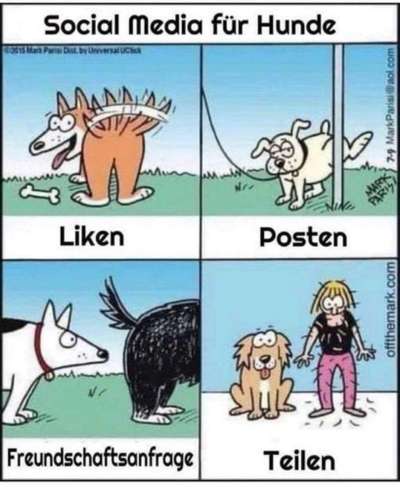 Hunde Memes-Beitrag-Bild