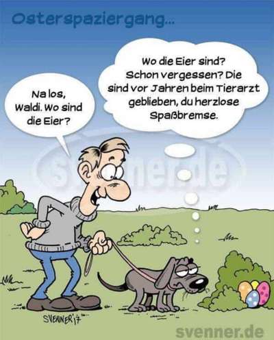 Hunde Memes-Beitrag-Bild