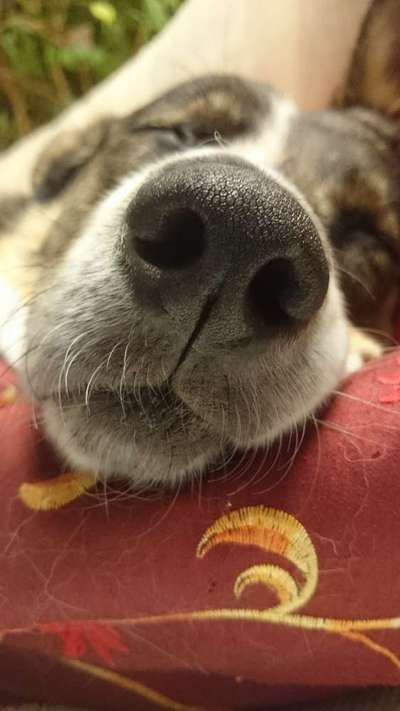 Foto Challange Nr.80-Beitrag-Bild