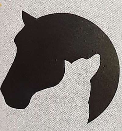 Medizinische Dienstleistungen-Mobile Tierphysiotherapie Elke Pordzik-Bild