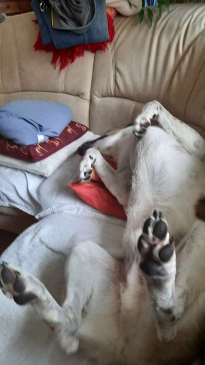 Fotochallenge Nr.65-Beitrag-Bild