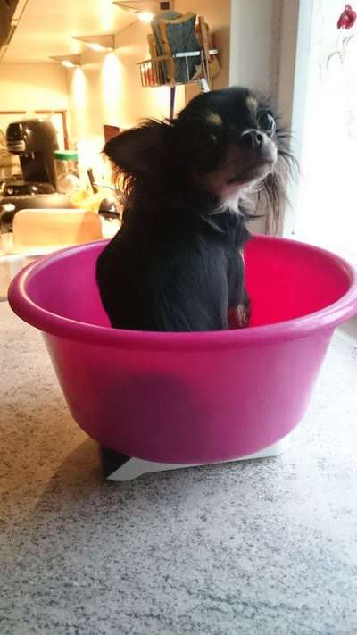 Hier ist der Spaßthread. Zum Schmunzeln und Kaputtlachen-Beitrag-Bild