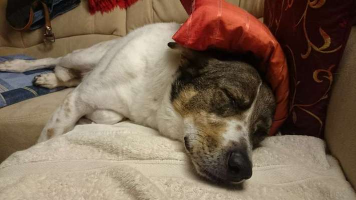 Hier ist der Spaßthread. Zum Schmunzeln und Kaputtlachen-Beitrag-Bild