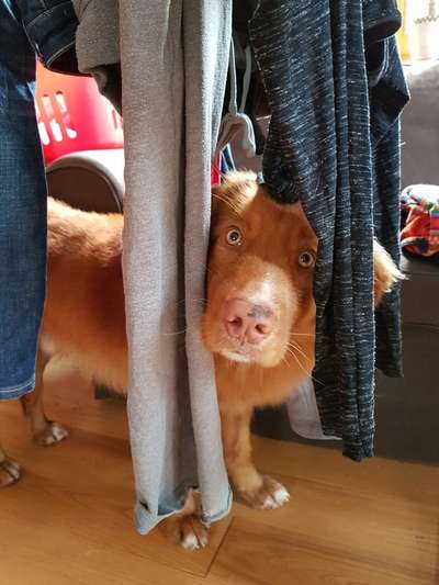 "Die eingefangene Magie des Augenblicks"-Beitrag-Bild