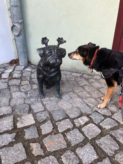 "Die eingefangene Magie des Augenblicks"-Beitrag-Bild