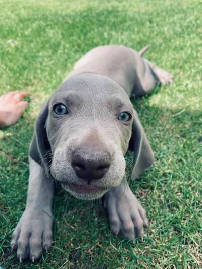 Fotochallange 84-Beitrag-Bild