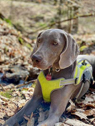 Fotowettbewerb Natur-Beitrag-Bild