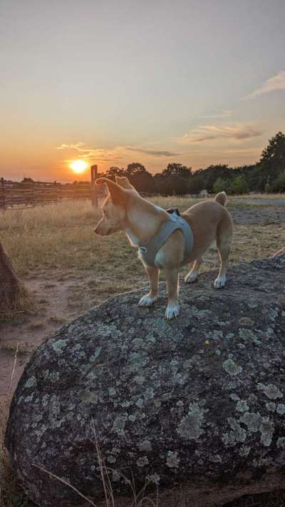 18. Farben Fotochallenge: Sonnenuntergang-Beitrag-Bild