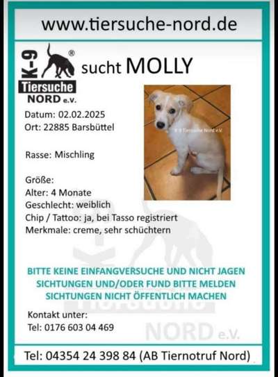 Suchmeldung-Molly-Bild