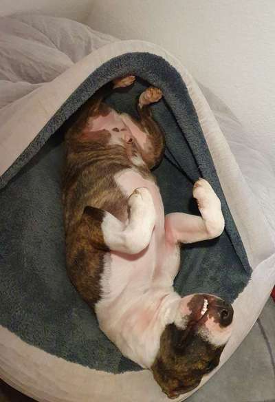 Die unbequemsten und lustigsten Schlafpositionen-Beitrag-Bild