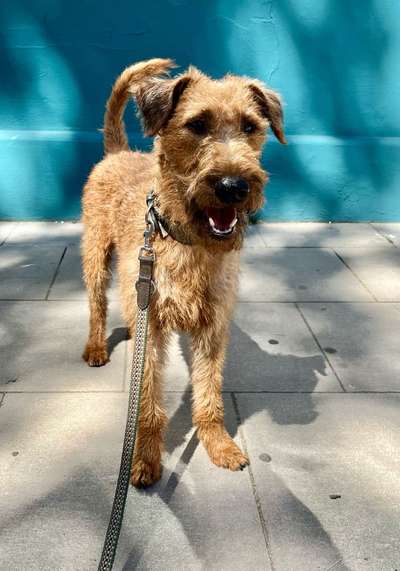 Ach, wie schnell die Zeit vergeht-Beitrag-Bild