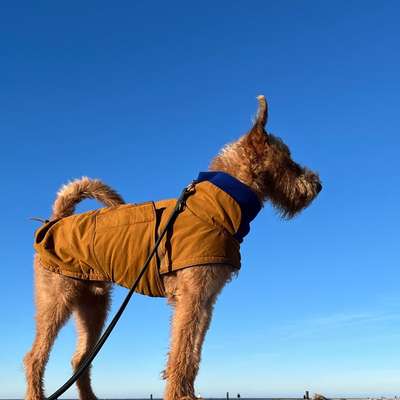 Welche Mäntel empfehlt ihr?-Beitrag-Bild