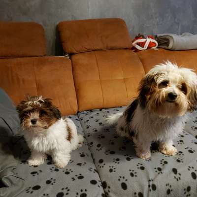 Freddys Kummerkasten-Beitrag-Bild