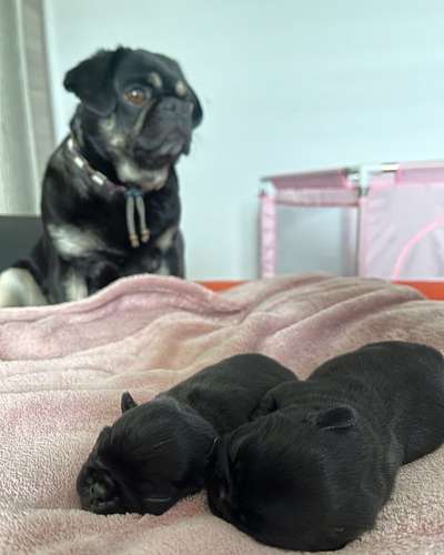 Handy-Foto-Challange Nr. 8-Beitrag-Bild