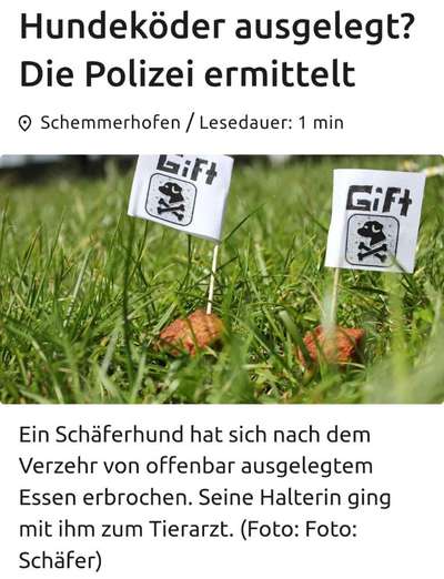Giftköder-Vermutliche Giftköder-Bild