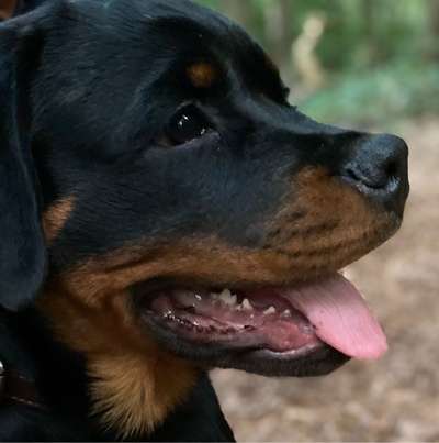 Angelika's Profilbild