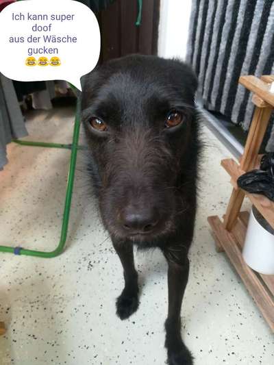 Lieblings Fotos-Beitrag-Bild