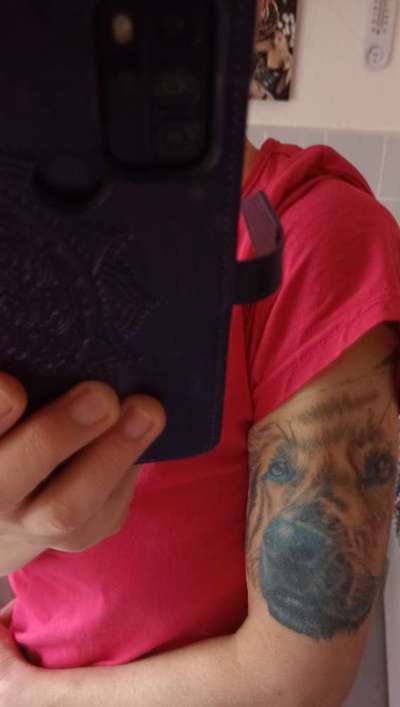 Unsere Fellnasen im Regenbogenland-Beitrag-Bild