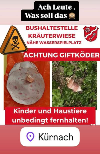Giftköder-GIFTKÖDER in Kürnach-Bild
