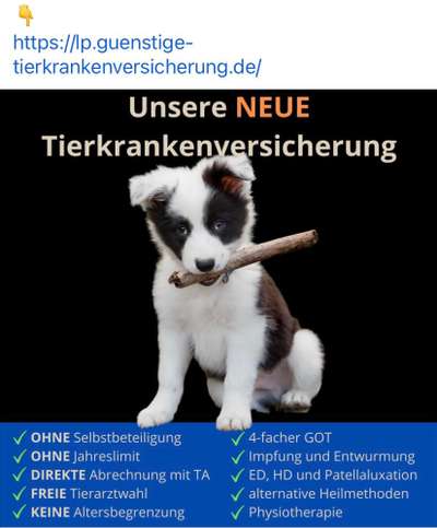 Rundum Versicherung-Beitrag-Bild