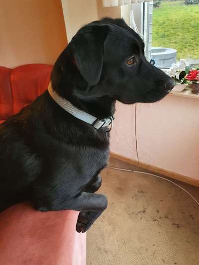 Lieblingsbild-Beitrag-Bild