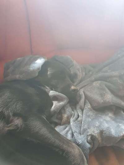 Lieblingsbild-Beitrag-Bild