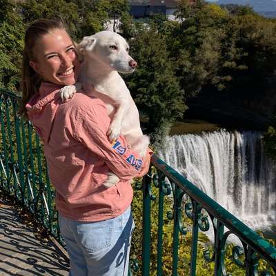 Gassi-Services-Annabelles Hundebetreuung-Bild