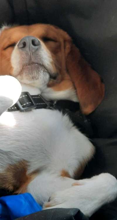 Lieblingsbild-Beitrag-Bild