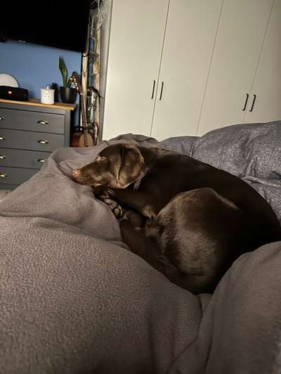 Foto Challenge Nr. 134-Beitrag-Bild