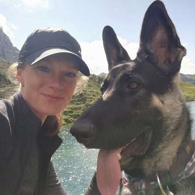 Hundetreffen-Gemeinsames Üben-Profilbild