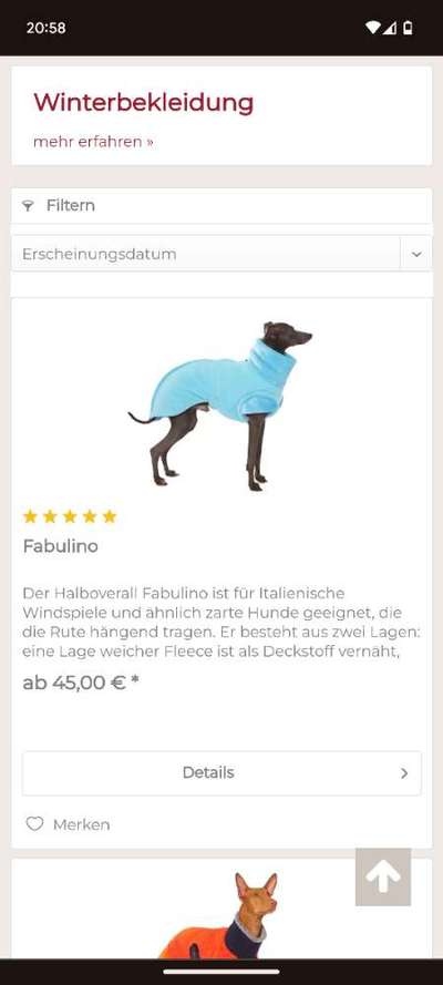 Wintermantel-Beitrag-Bild