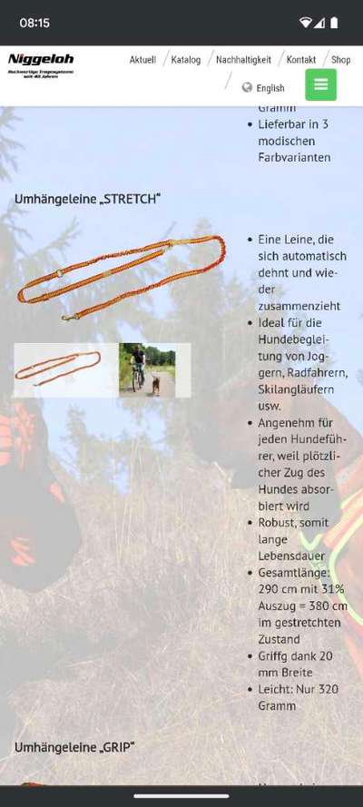 Erfahrungen mit Zee.Dog-Beitrag-Bild