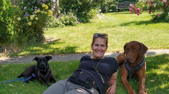 Neuer Tierschutzhund hat nach vorhandenem Hund geschnappt-Beitrag-Bild