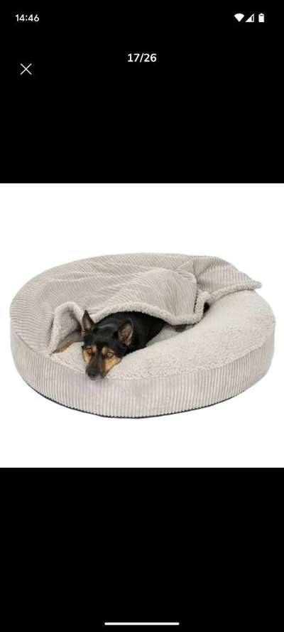 Hundehöhle für grössere Hunde-Beitrag-Bild