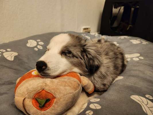 Foto Challenge Nr. 134-Beitrag-Bild