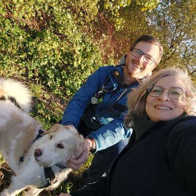 Hundetreffen-Hundetreff 🐶