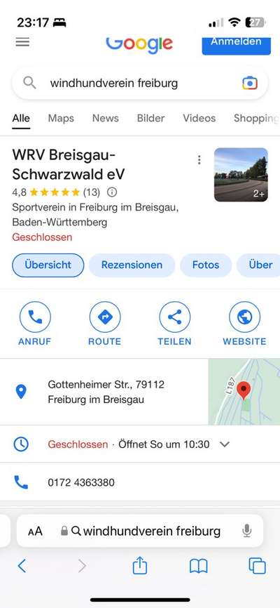 Sport- und Spielgruppe Großpudel Freiburg gesucht-Beitrag-Bild