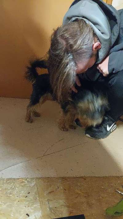 Beschäftigung und Ideen-Beitrag-Bild