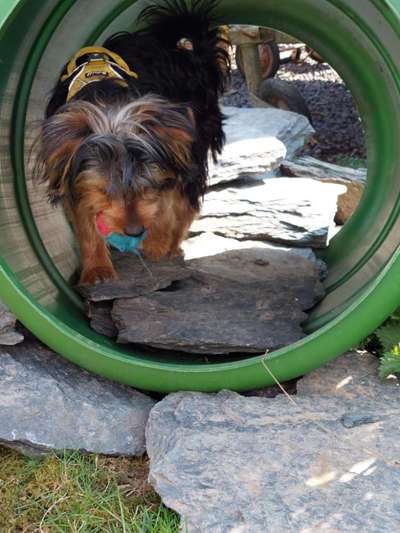 Buddeln im Garten-Beitrag-Bild