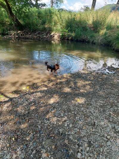 Beschäftigung und Ideen-Beitrag-Bild