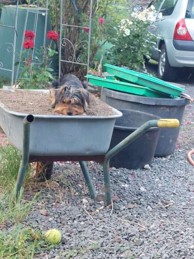 Beschäftigung und Ideen-Beitrag-Bild